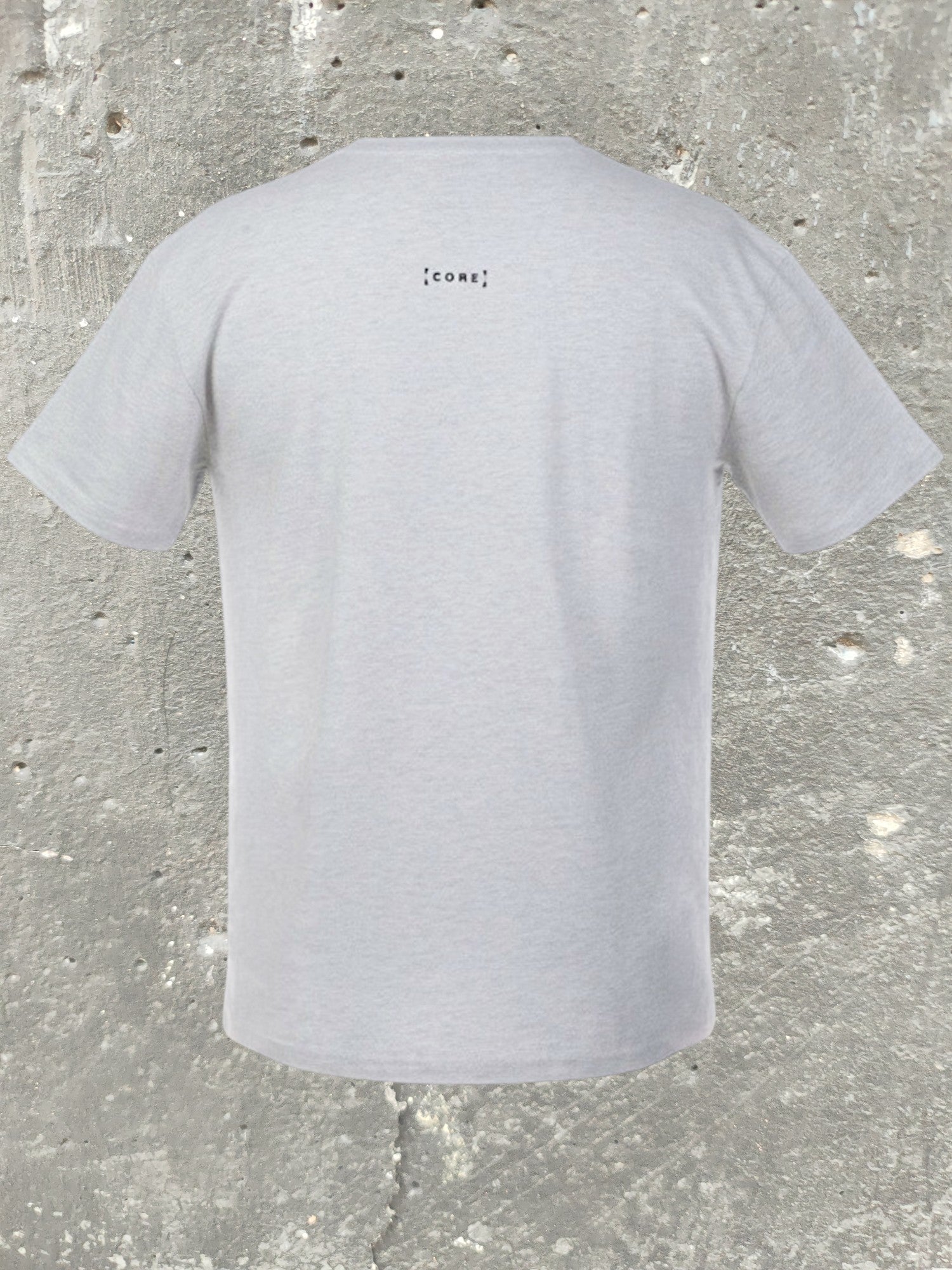 T-shirt Premium 240g [ C O R E ] — Jasny Szary